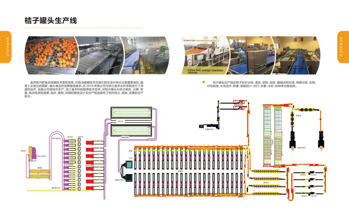 桔子剝皮機(jī)生產(chǎn)線